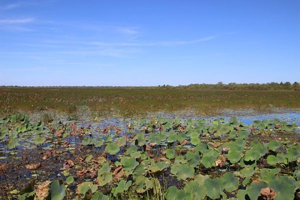 Jours Dans Le Parc National De Kakadu Dans Le Northern Territory