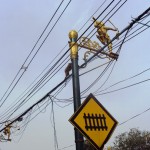 Singes sur les câbles électriques (Lopburi- Thaïlande)