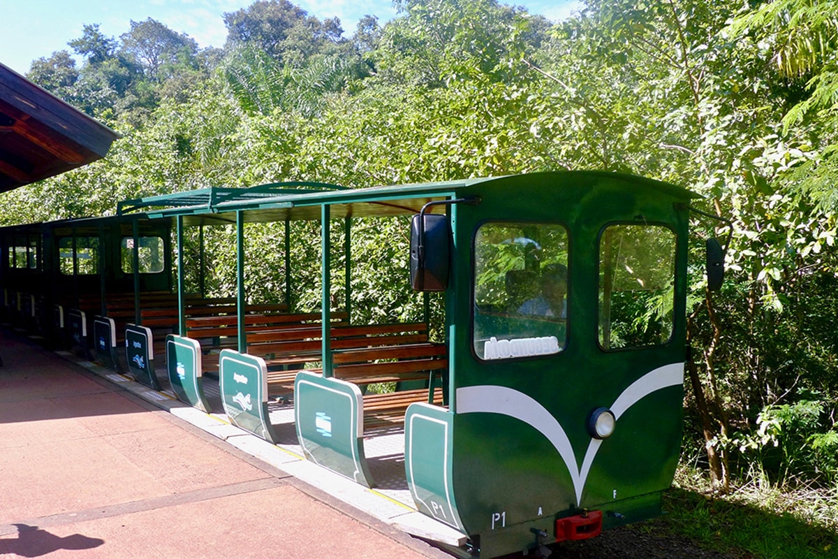 Train Chutes Puerto Iguazu Argentine