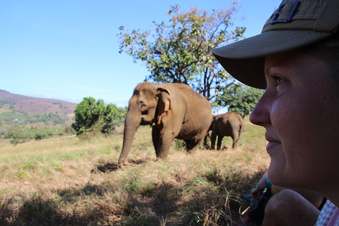 Observer les éléphants Sen Monorom Cambodge éléphants du Mondulkiri