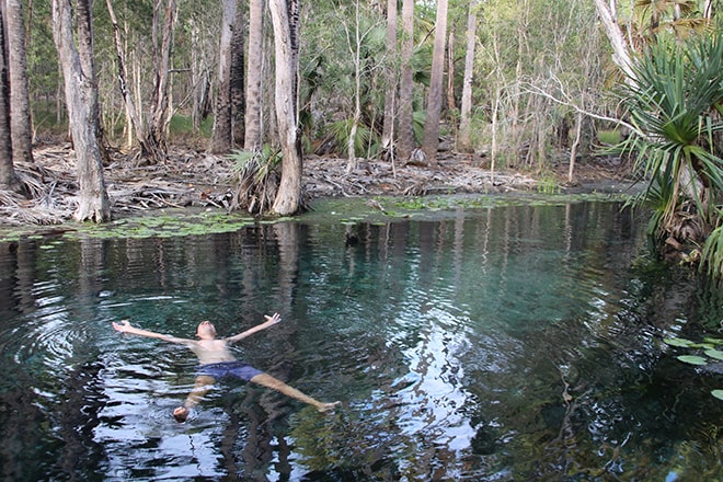 Bitter springs Mataranka