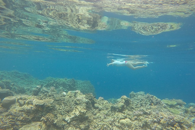 Reef 1 snorkeling Malengue iles Togian