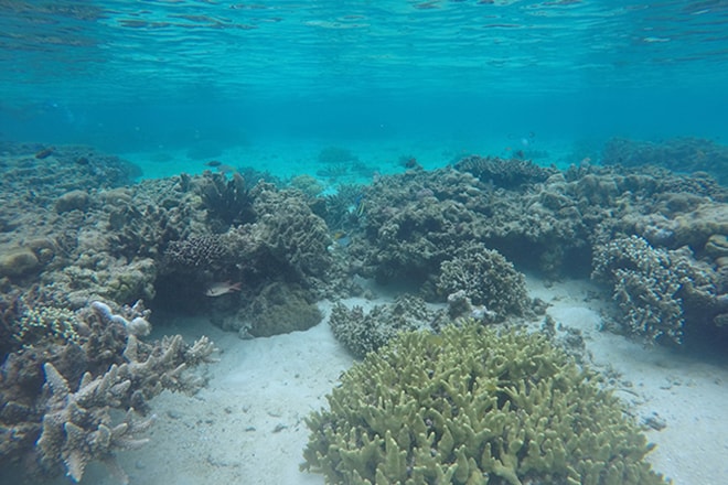 Snorkeling Malengue iles Togian