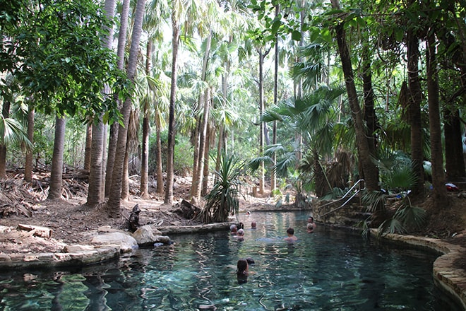 Thermal Pool Mataranka