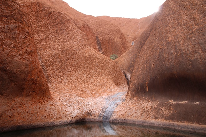 Bassin Kuniya Walk Uluru