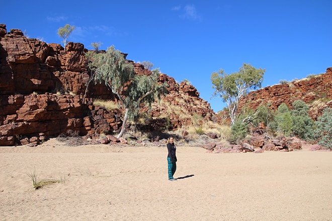 Elo dans Trephina Gorge Alice Springs