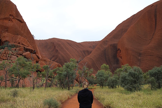 Kuniya Walk premier pas Uluru