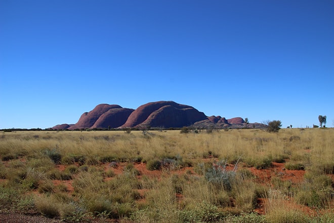 Mont Olgas vue