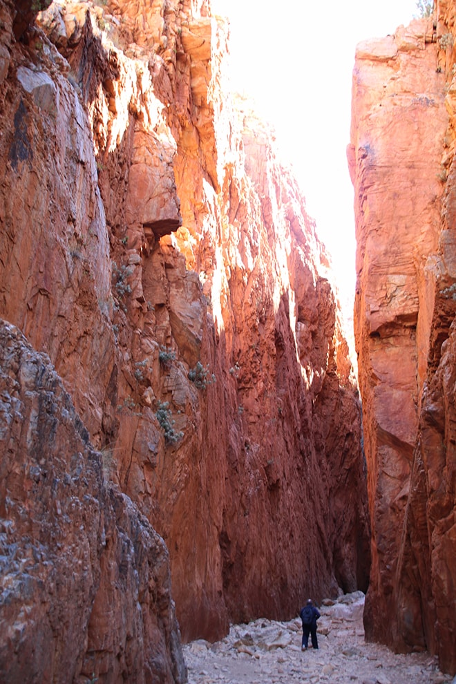 Standley Chams Alice Springs