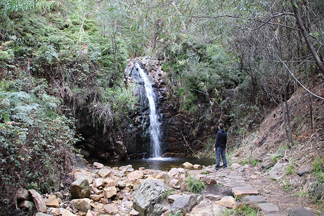 Cascade Mont Lofty Adelaide Hills Australie