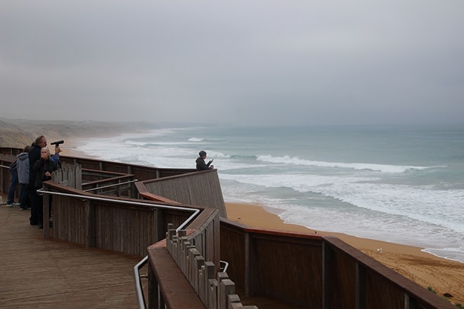 Plateforme Baleines Warrnambool Great Ocean Road Australie