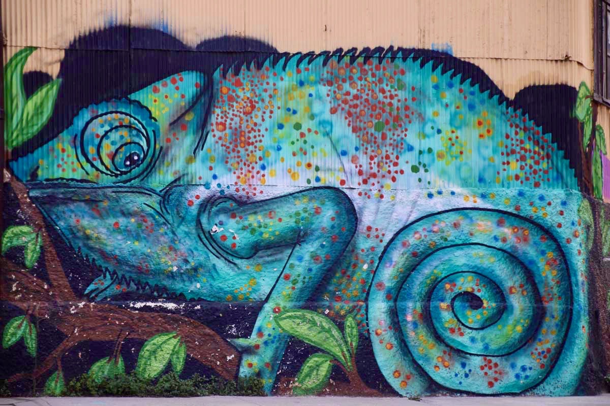 cameleon street art