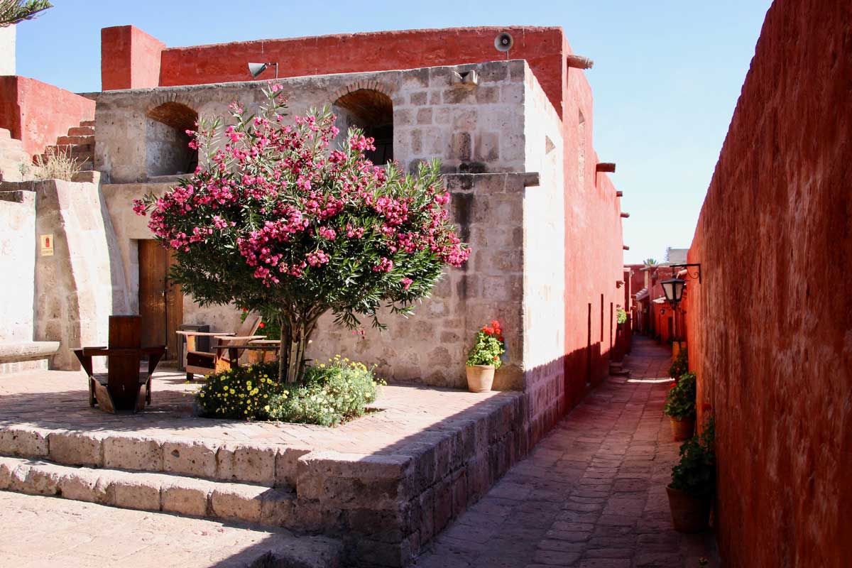 ruelle Couvent Santa Catalina Arequipa