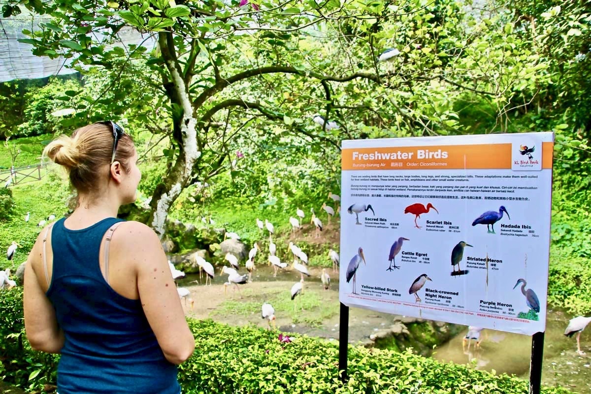 Elo panneau KL Bird Park Kuala Lumpur