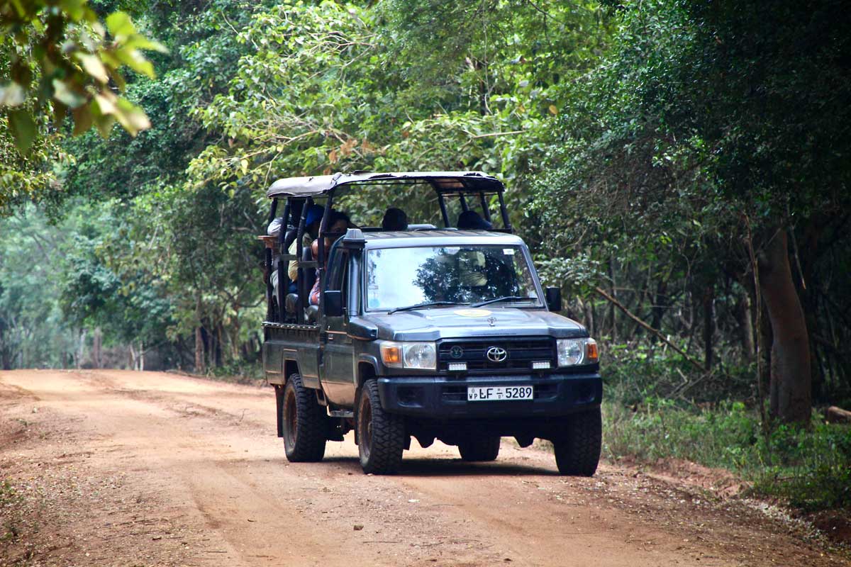 Jeep Safari Wilpattu National Park