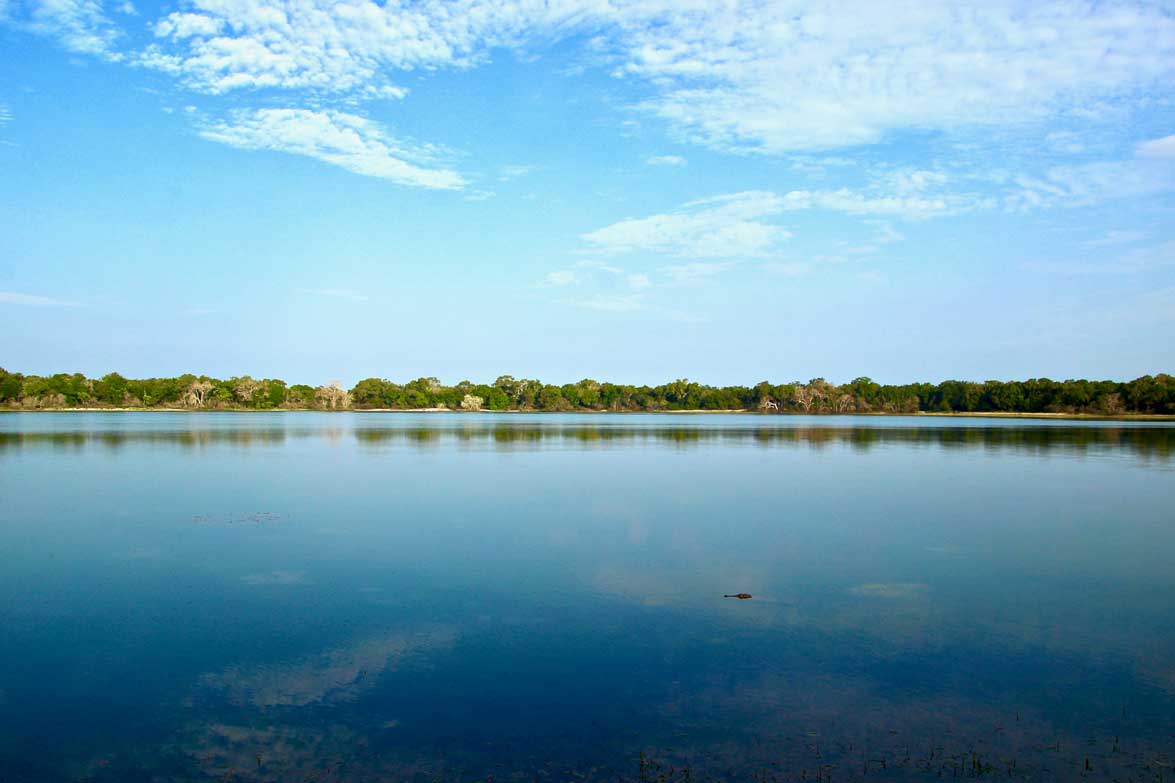 eau Safari Wilpattu National Park