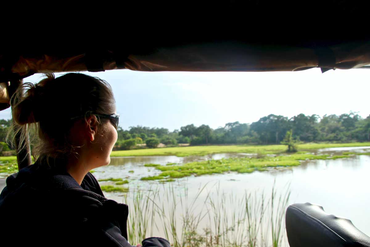 elo crocodile Safari Wilpattu National Park