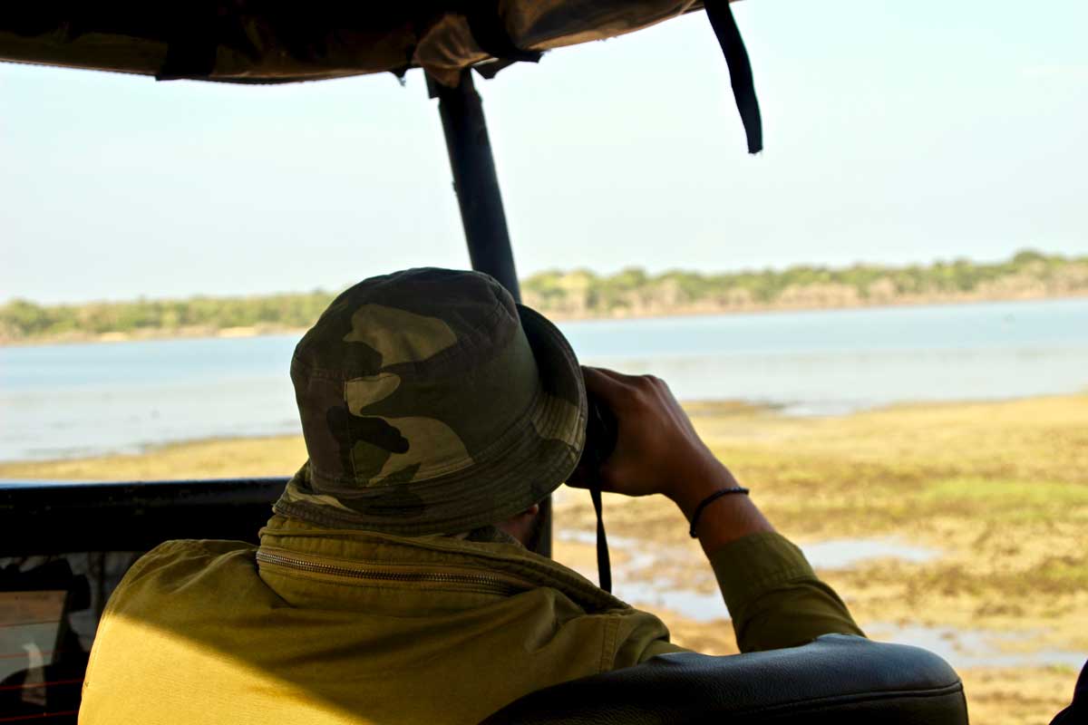 guide cherche Safari Wilpattu National Park