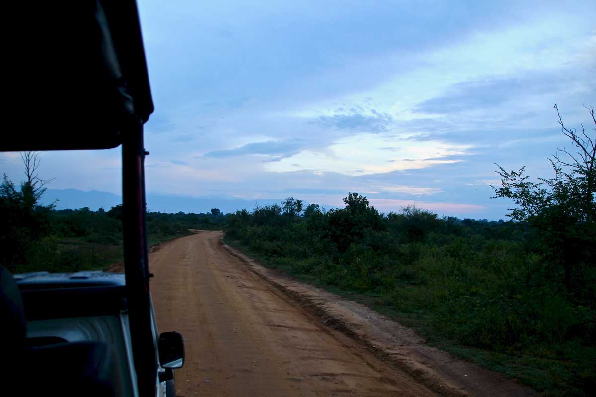 jeep safari Udawalawe Sri Lanka