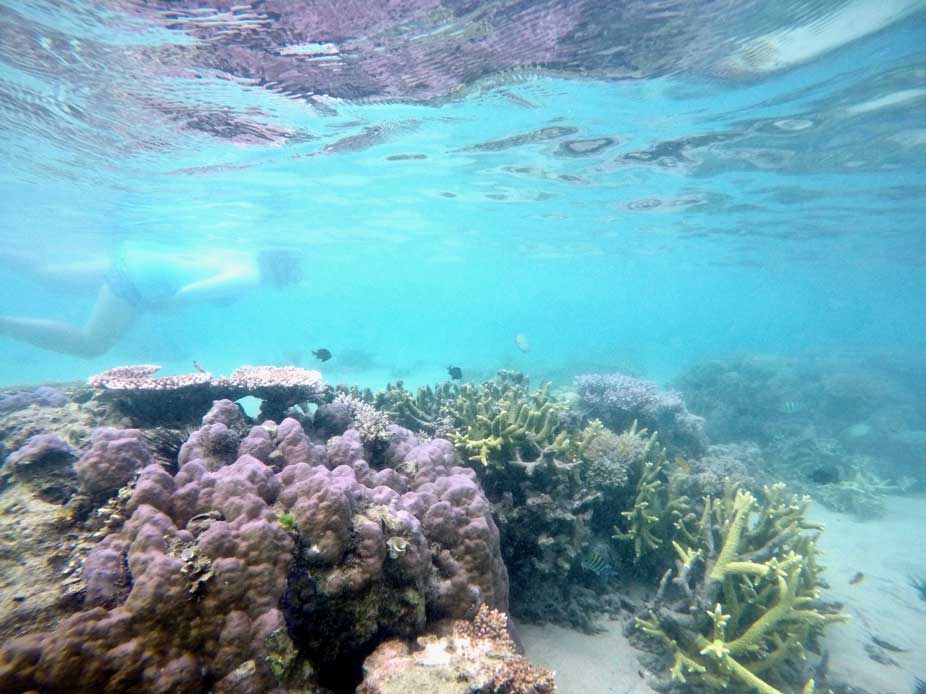 snorkeling tioman malaisie