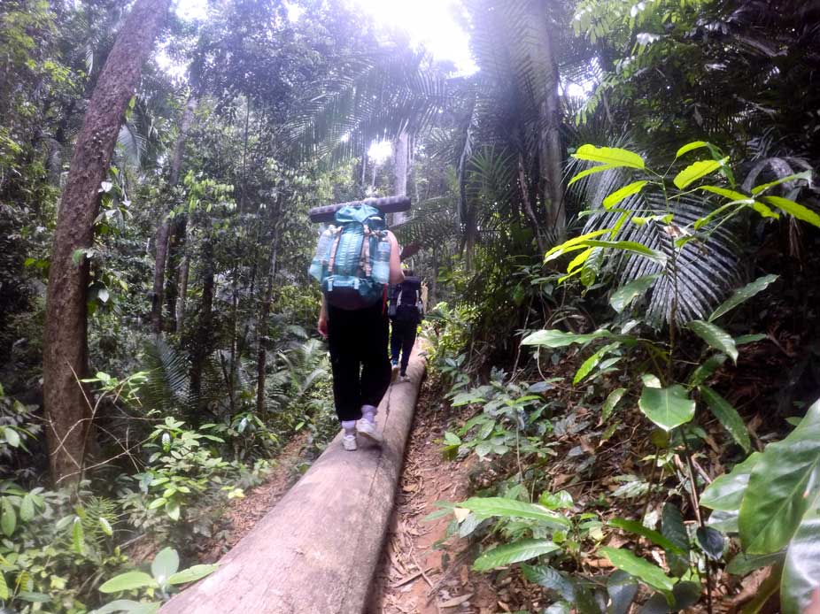 trek 2 jours taman negara