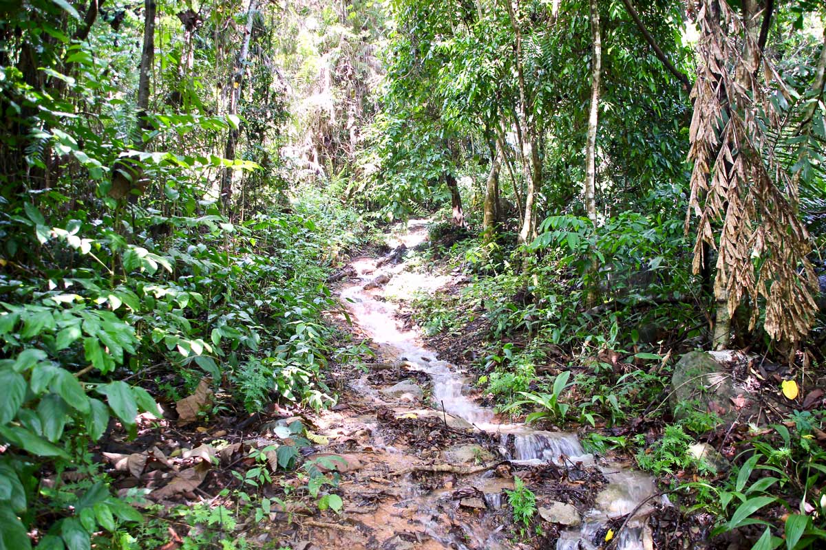 trek cascade juara tioman malaisie