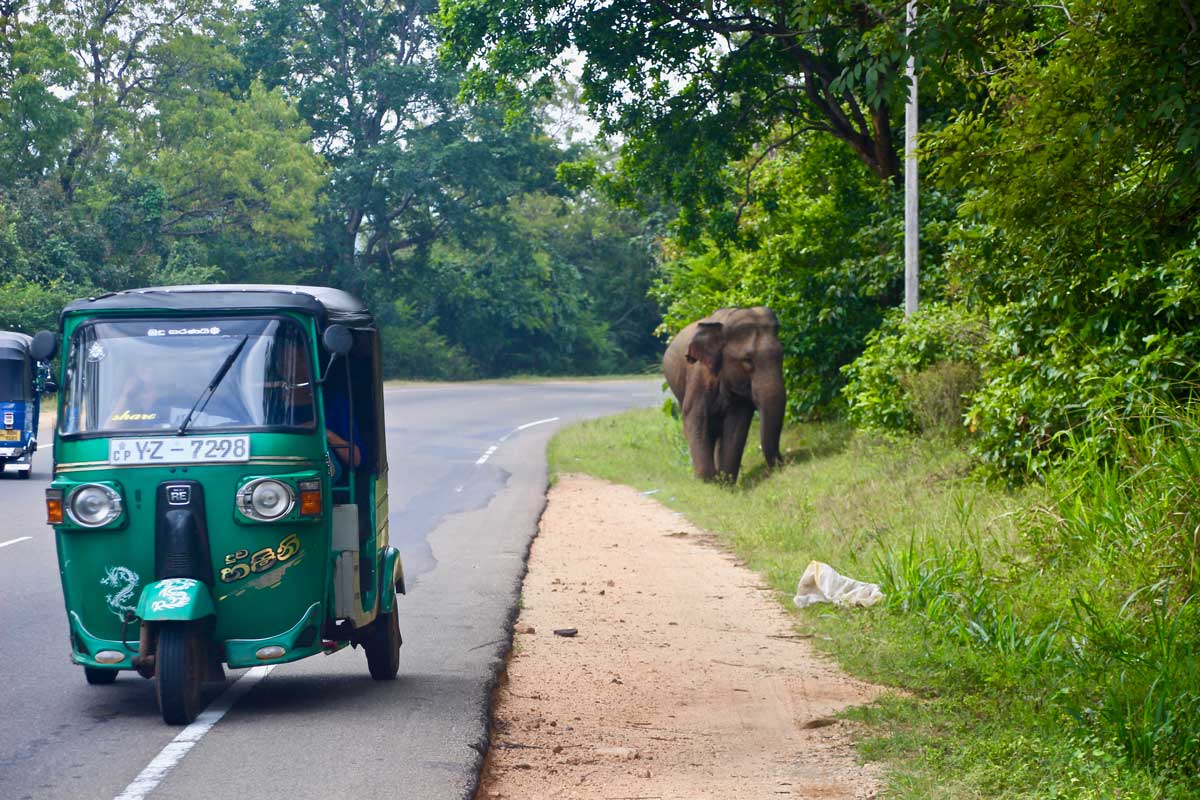 sri lanka tuk tuk