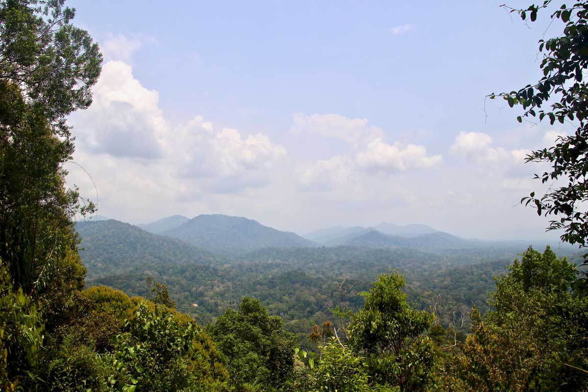 view point taman negara