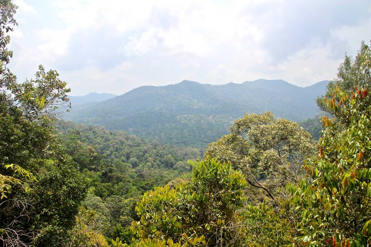 view point taman negara