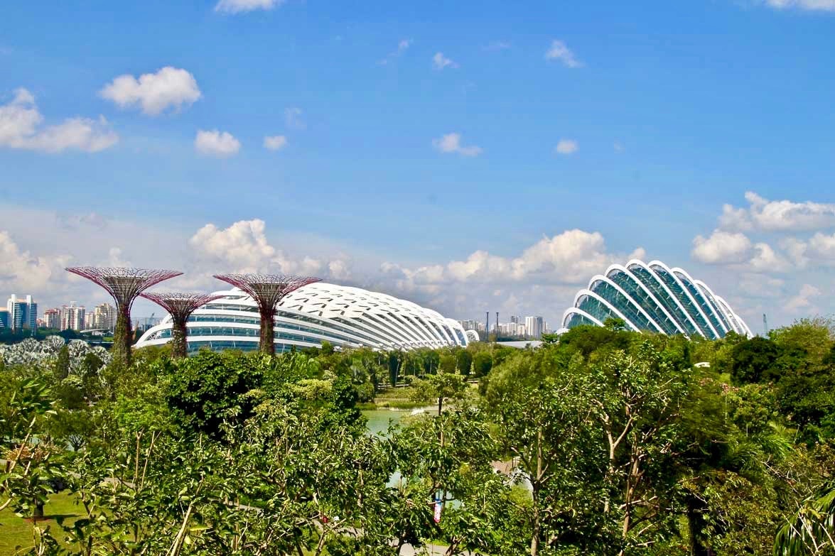 vue globale Gardens by the Bay Singapour