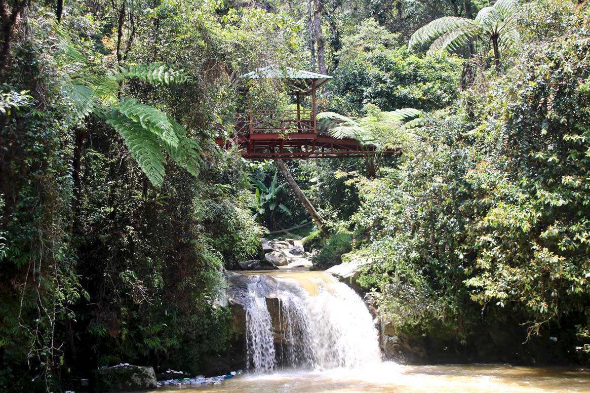 cascade cameron highlands