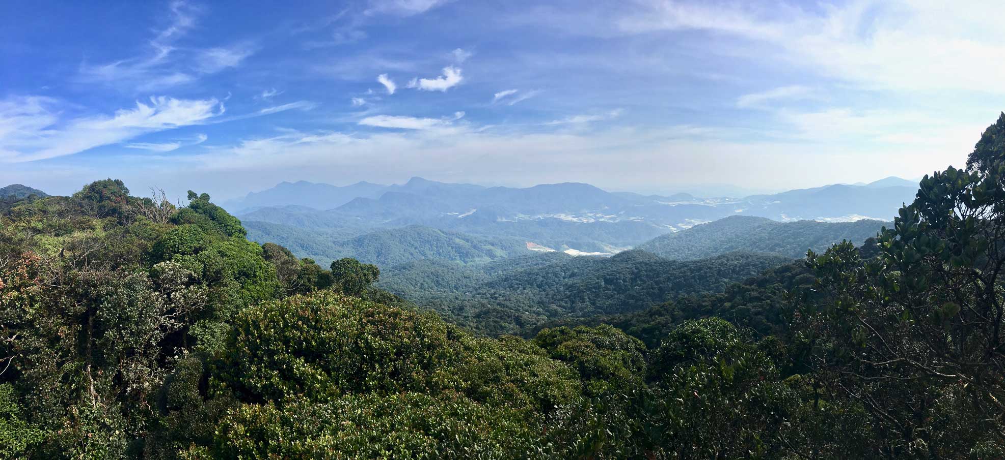 panorama cameron highlands malaisie