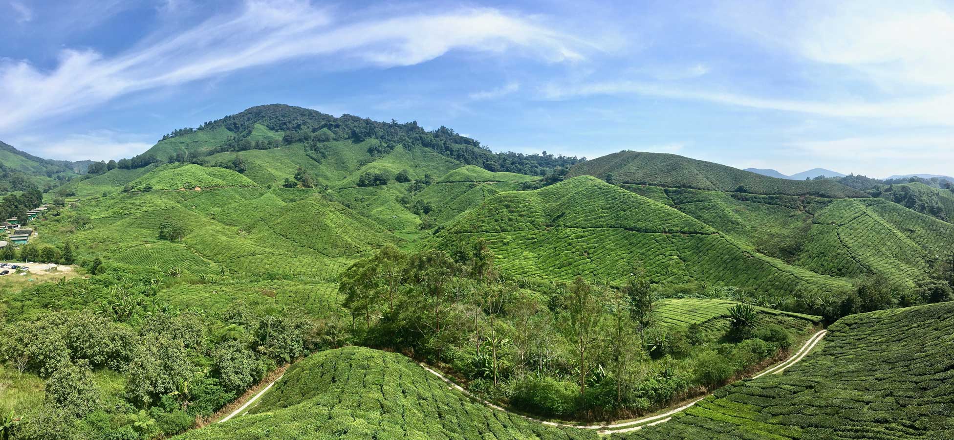 panorama cameron highlands malaisie