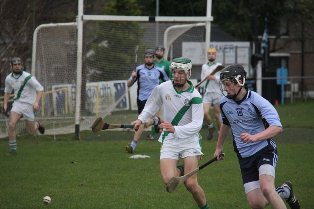 hurling sport insolite dublin