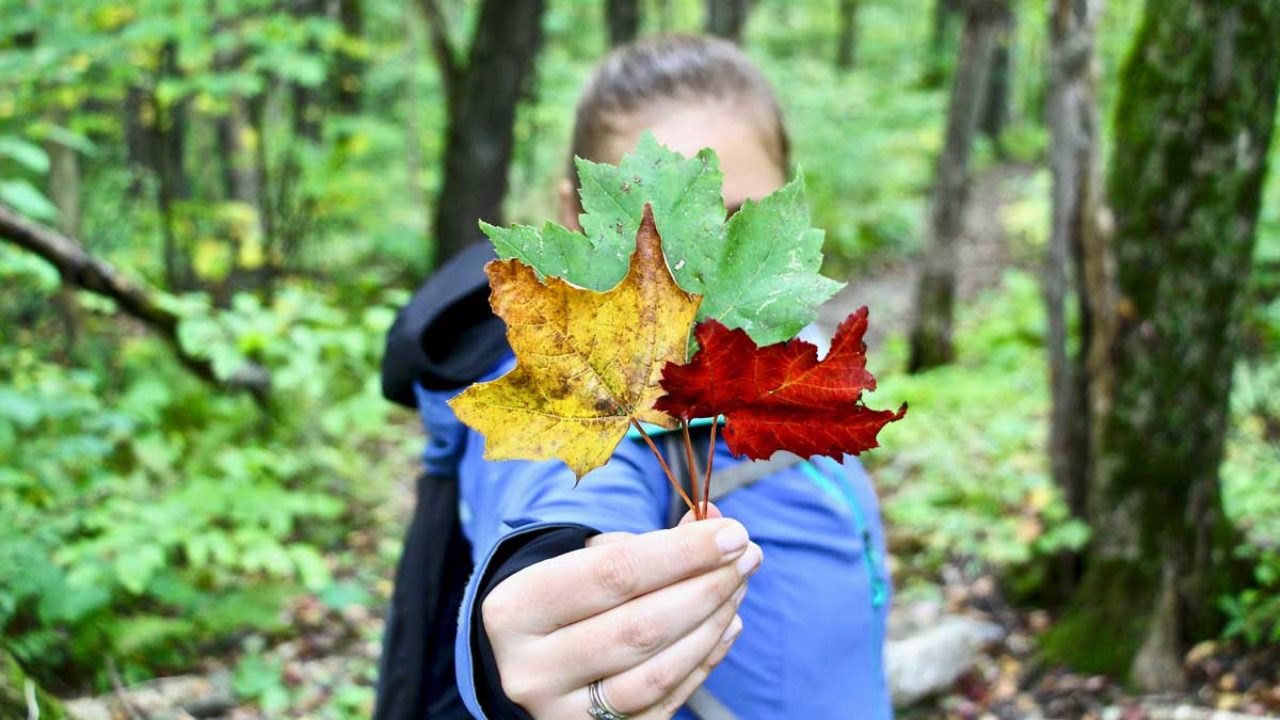 Profiter De La Saison Des Couleurs De L Automne Au Quebec Planete3w