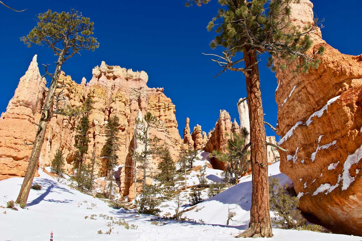 randonnée bryce canyon hiver