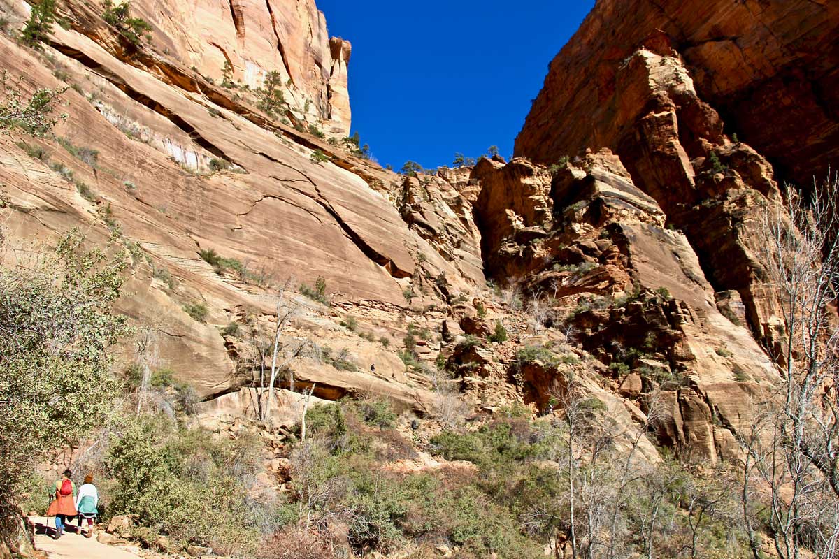 montee angels landing zion usa