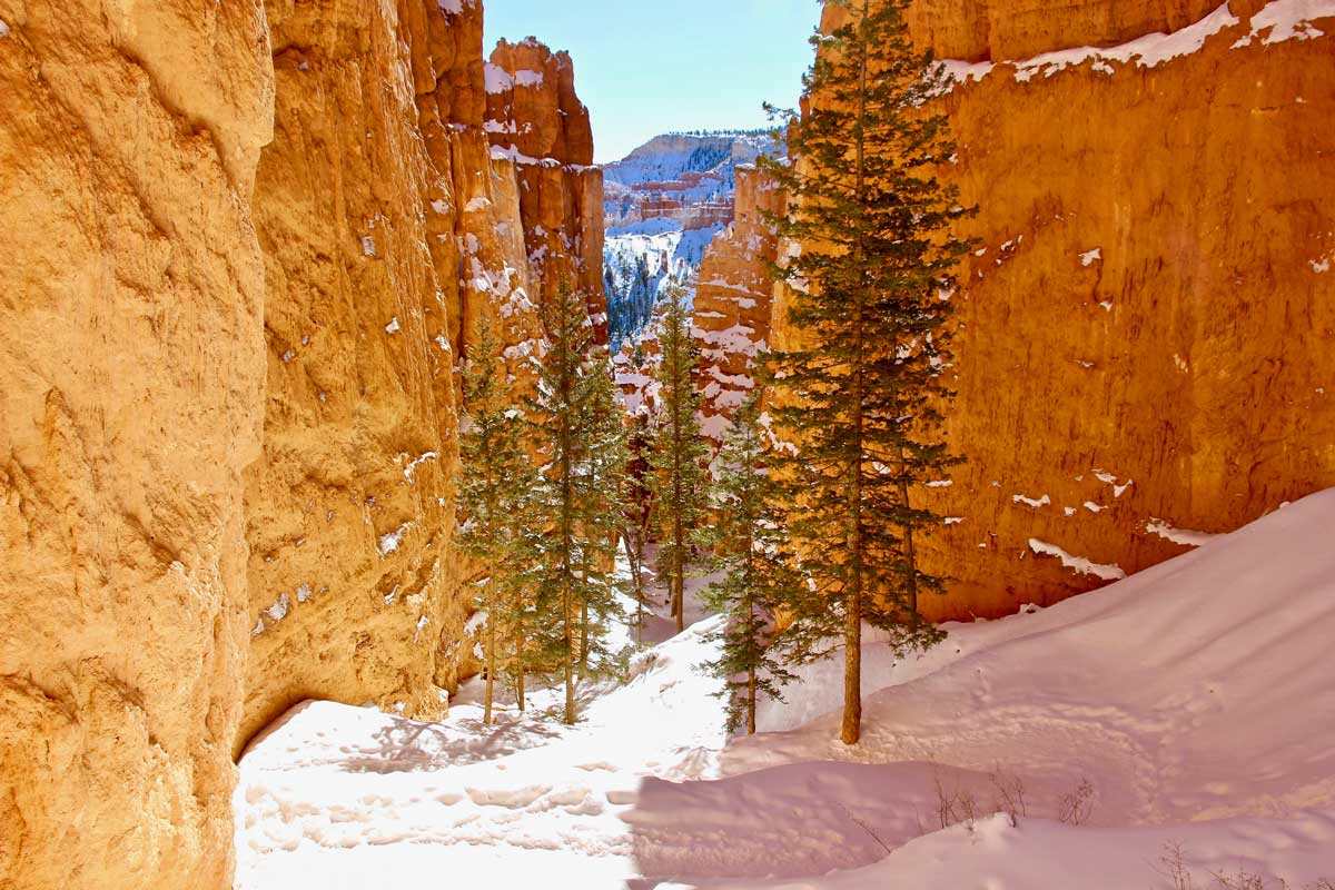 randonnée bryce canyon hiver