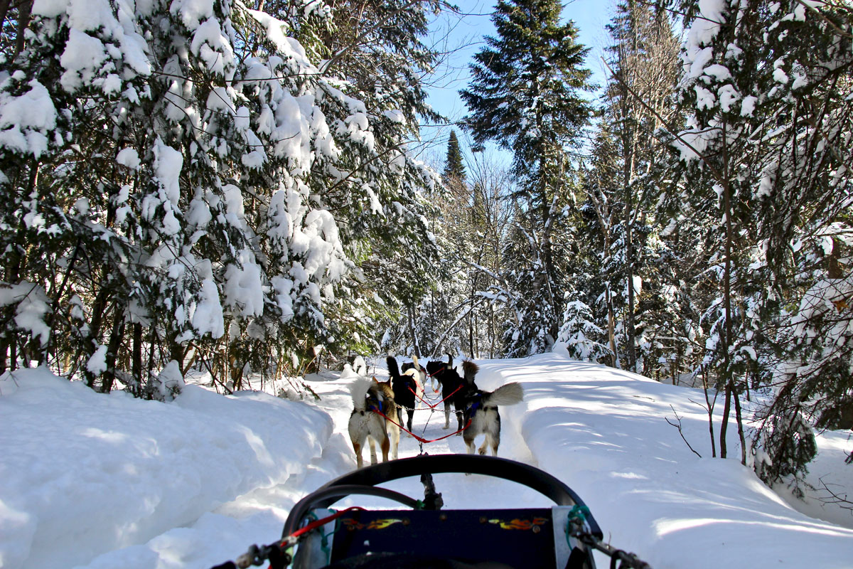 balade chiens traineau kanatha-aki laurentides