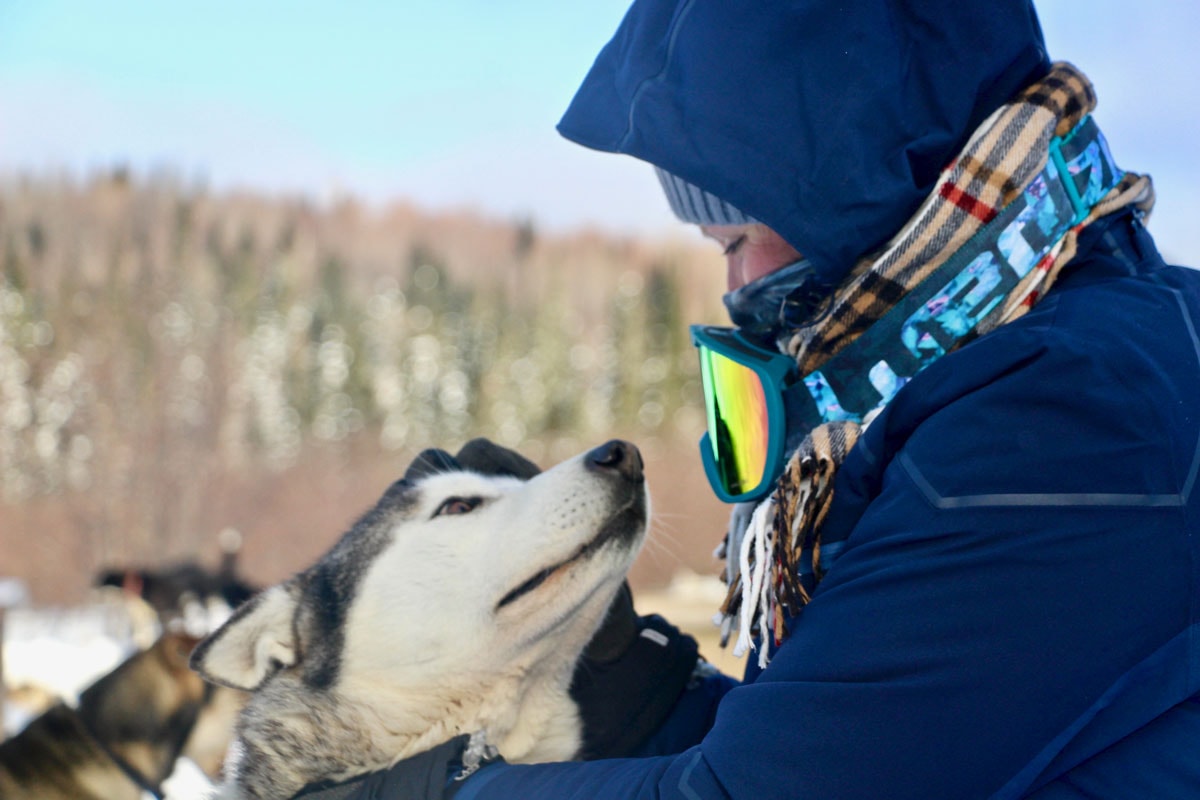 balade chiens traineau kanatha-aki laurentides