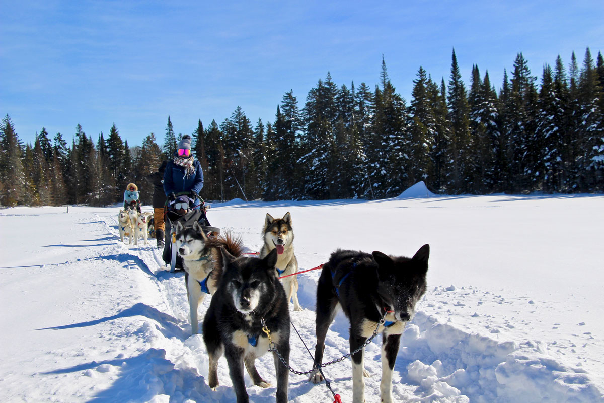 balade chiens traineau kanatha-aki laurentides