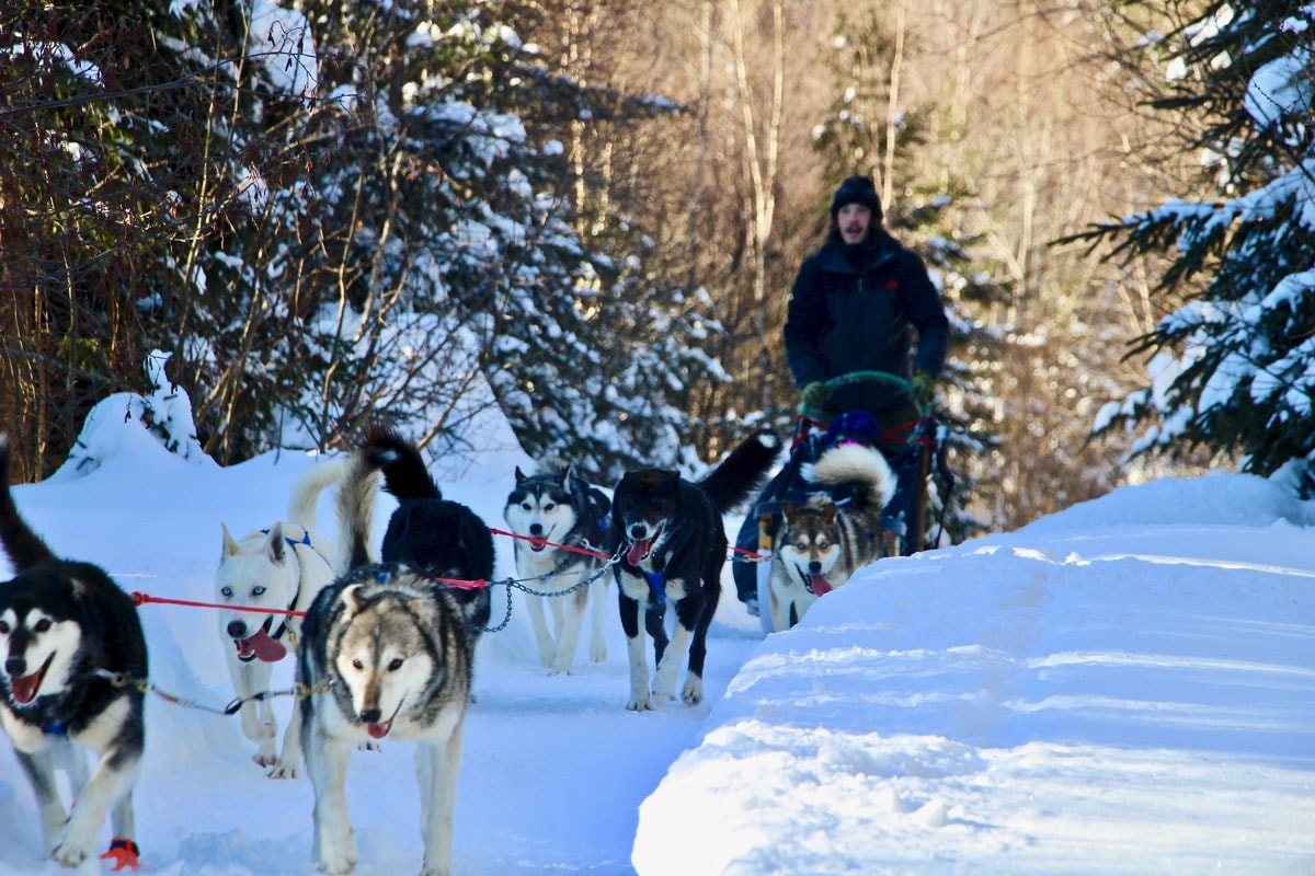 balade chiens traineau kanatha-aki laurentides