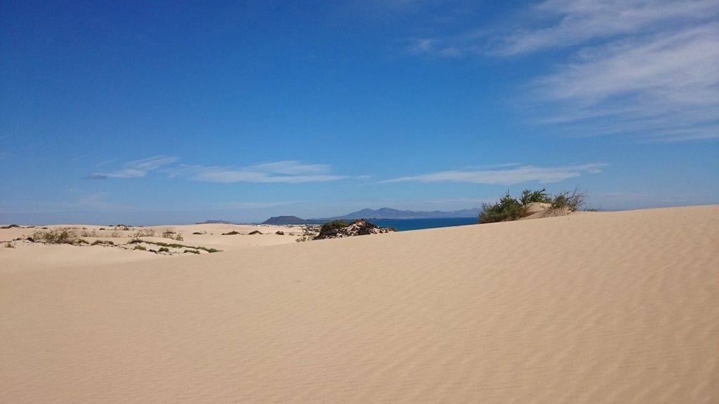 dunes parc Corralejo fuerteventura