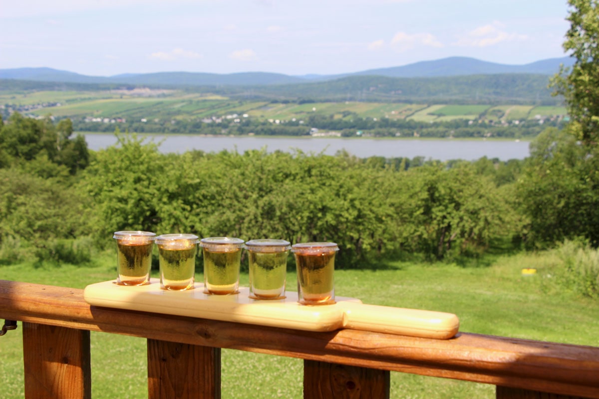 dégustation cidres au Domaine Steinbach ile d'orleans