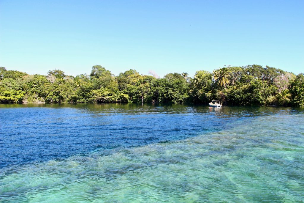 Cenote Negro Bacalar