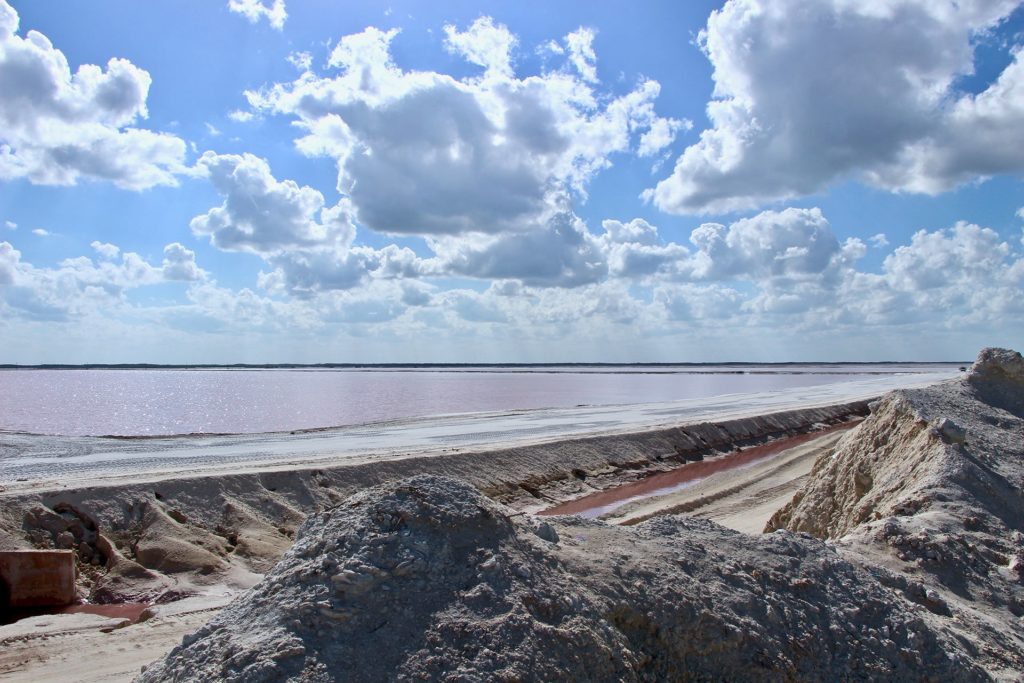 Las Coloradas Rio Lagartos