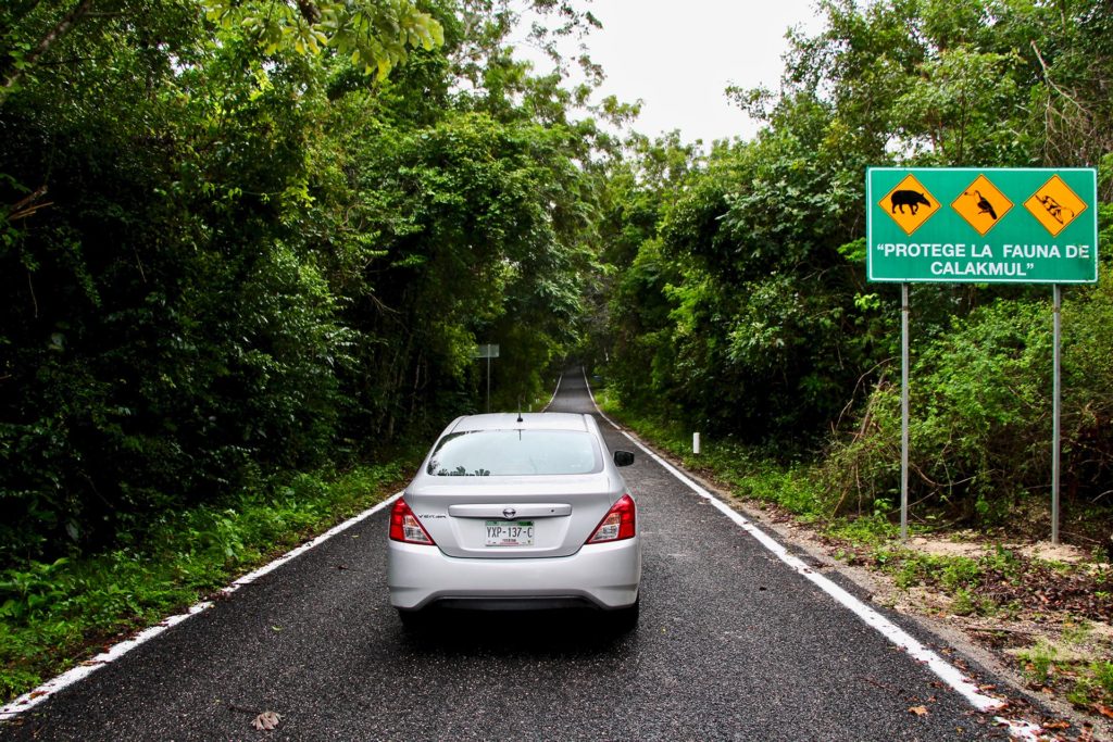 Route pour Calakmul