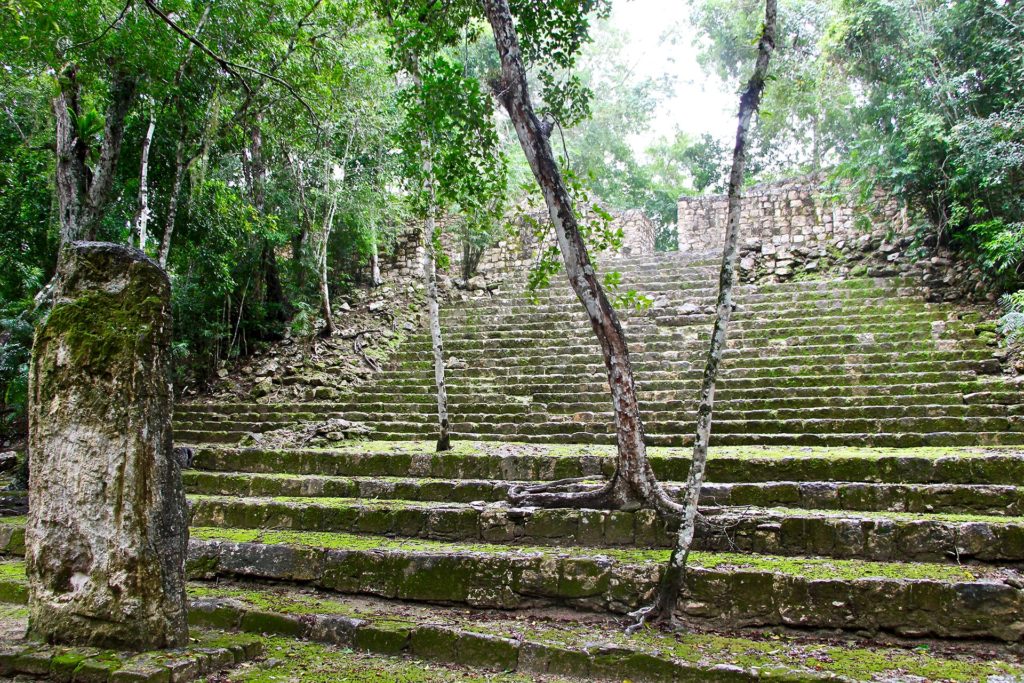 À la découverte de Calakmul, la cité Maya perdue au milieu de la jungle