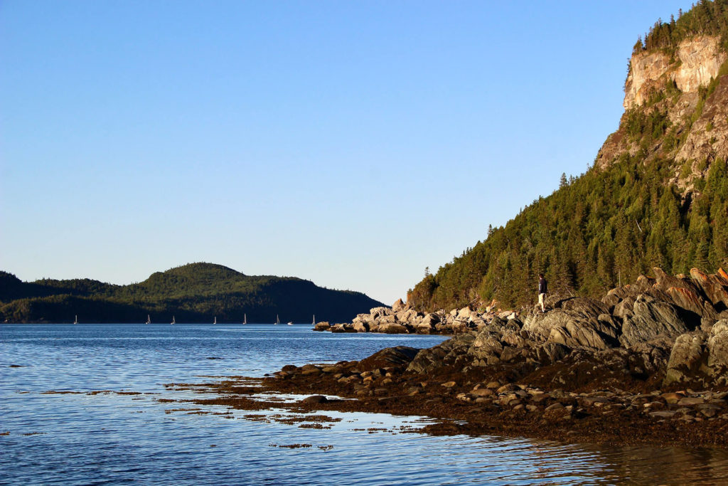 découverte du Parc du Bic