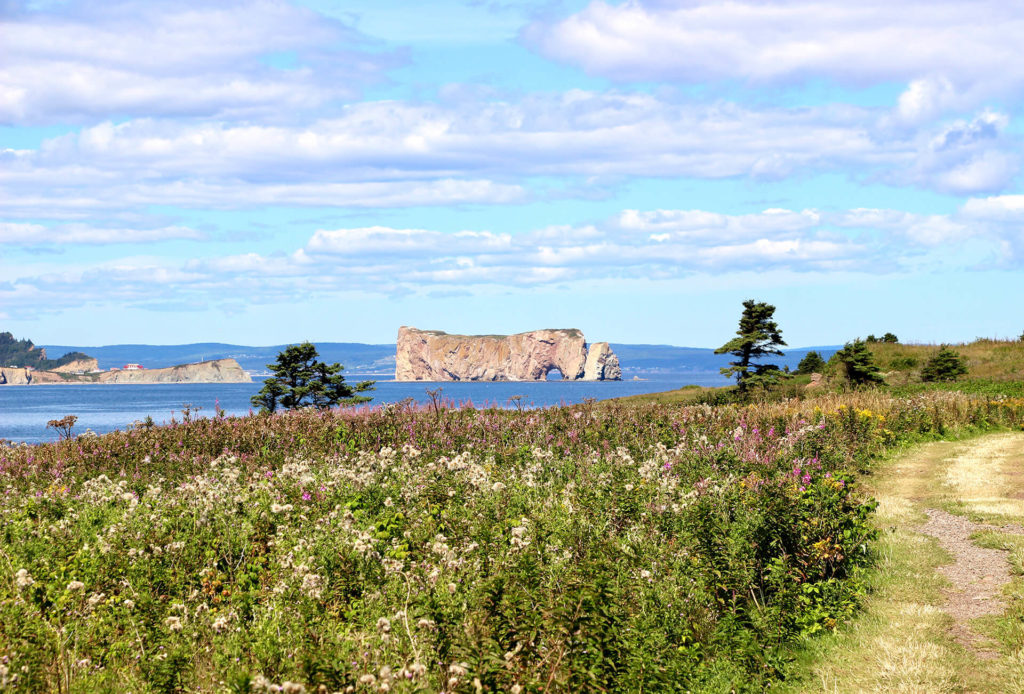 ile bonaventure percé